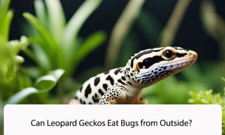 Can Leopard Geckos Eat Bugs from Outside?