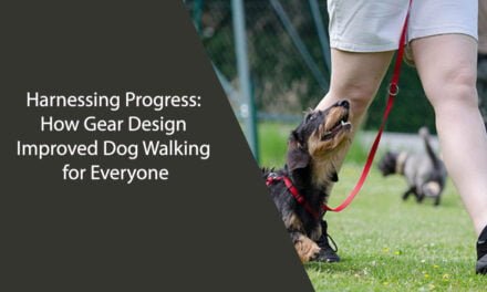 Harnessing Progress: How Gear Design Improved Dog Walking for Everyone