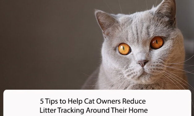 5 Tips to Help Cat Owners Reduce Litter Tracking Around Their Home