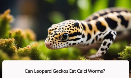 Can Leopard Geckos Eat Calci Worms?