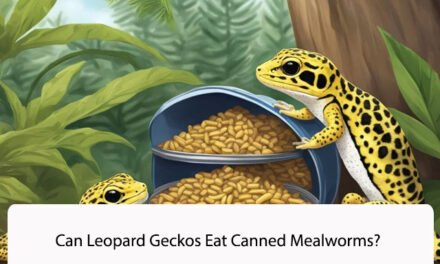 Can Leopard Geckos Eat Canned Mealworms?