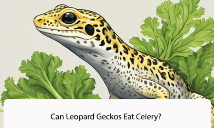 Can Leopard Geckos Eat Celery?