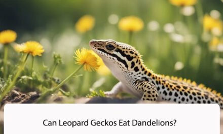 Can Leopard Geckos Eat Dandelions?