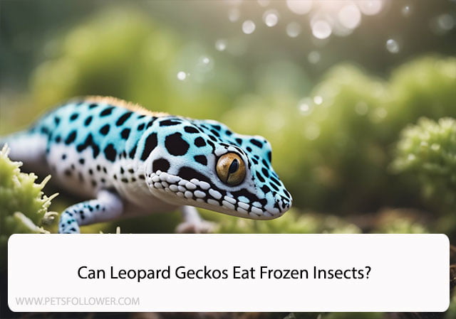 Can Leopard Geckos Eat Frozen Insects?