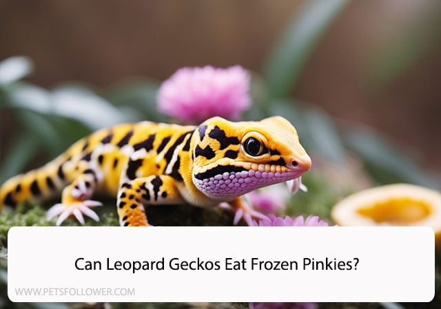 Can Leopard Geckos Eat Frozen Pinkies?