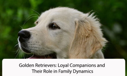 Golden Retrievers: Loyal Companions and Their Role in Family Dynamics