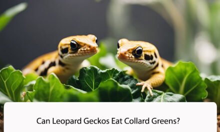 Can Leopard Geckos Eat Collard Greens?