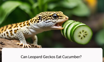 Can Leopard Geckos Eat Cucumber?