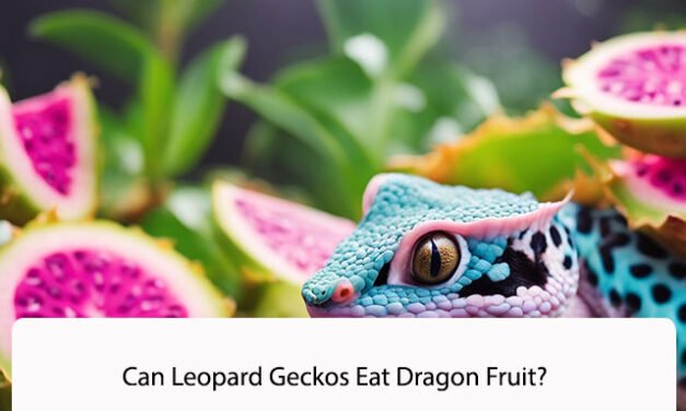 Can Leopard Geckos Eat Dragon Fruit?