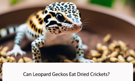 Can Leopard Geckos Eat Dried Crickets?