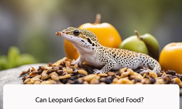 Can Leopard Geckos Eat Dried Food?