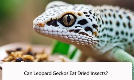 Can Leopard Geckos Eat Dried Insects?