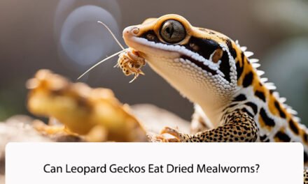 Can Leopard Geckos Eat Dried Mealworms?