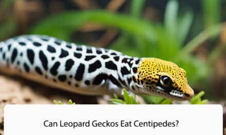 Can Leopard Geckos Eat Centipedes?