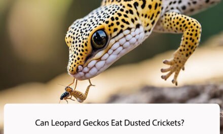 Can Leopard Geckos Eat Dusted Crickets?