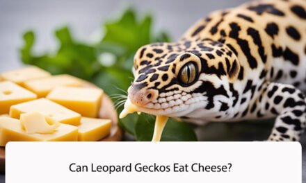 Can Leopard Geckos Eat Cheese?