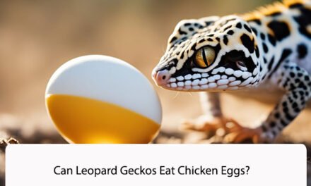 Can Leopard Geckos Eat Chicken Eggs?