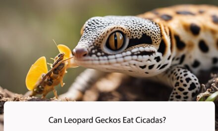 Can Leopard Geckos Eat Cicadas?