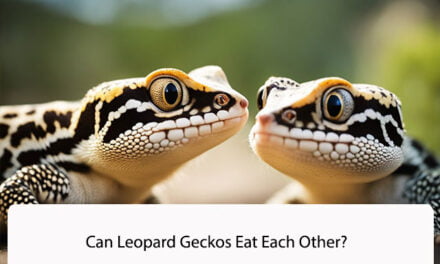 Can Leopard Geckos Eat Each Other?