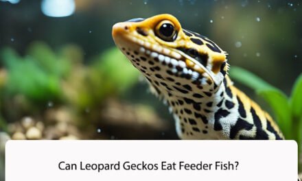 Can Leopard Geckos Eat Feeder Fish?