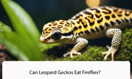 Can Leopard Geckos Eat Fireflies?