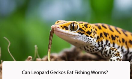 Can Leopard Geckos Eat Fishing Worms?