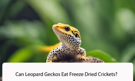 Can Leopard Geckos Eat Freeze Dried Crickets?