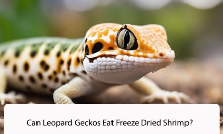 Can Leopard Geckos Eat Freeze Dried Shrimp?