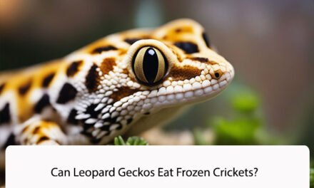 Can Leopard Geckos Eat Frozen Crickets?