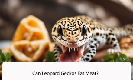 Can Leopard Geckos Eat Meat?