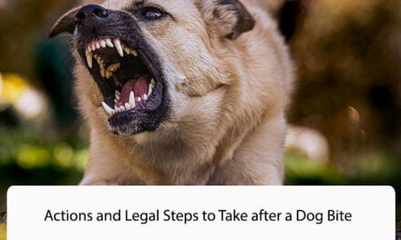 Actions and Legal Steps to Take after a Dog Bite