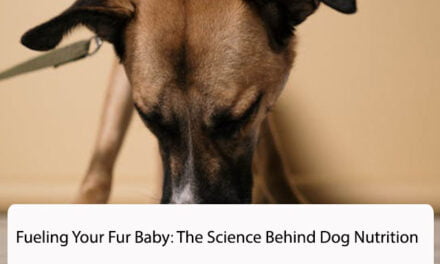 Fueling Your Fur Baby: The Science Behind Dog Nutrition