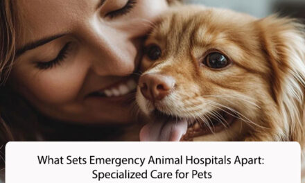 What Sets Emergency Animal Hospitals Apart: Specialized Care for Pets