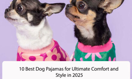 10 Best Dog Pajamas for Ultimate Comfort and Style in 2025