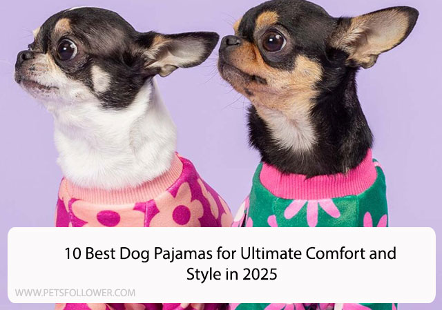 10 Best Dog Pajamas for Ultimate Comfort and Style in 2025