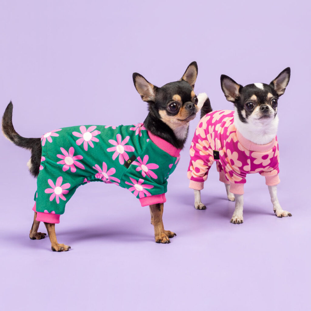 Dog Pajamas