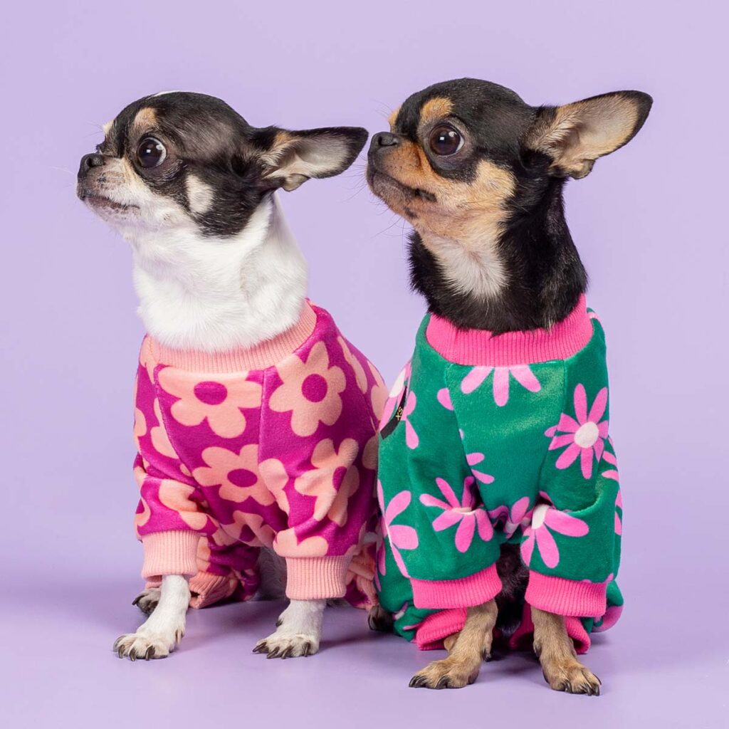 Dog Pajamas